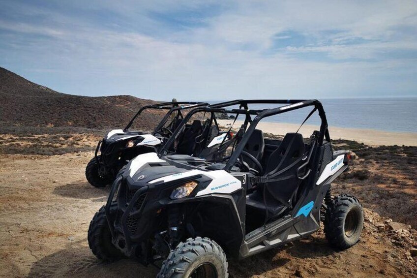 Quads Off Road RZR Wild Baja West!