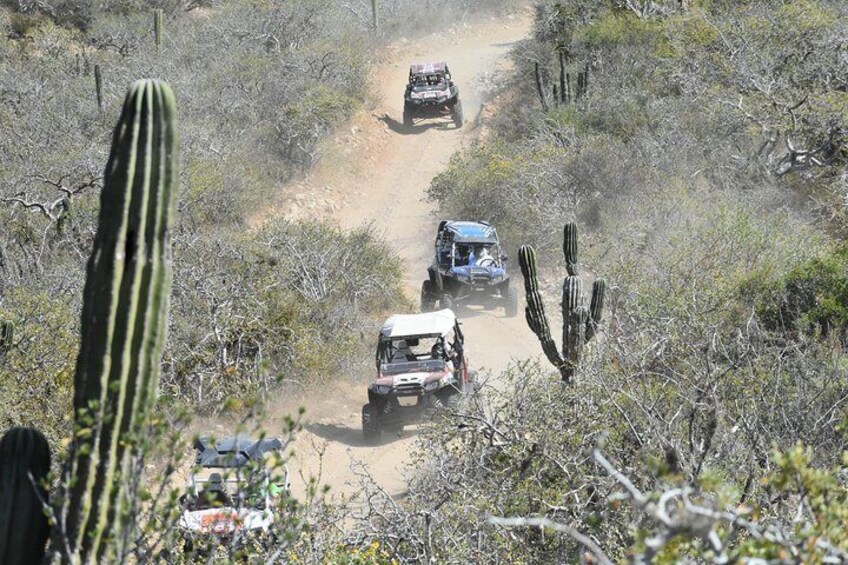 Quads Off Road RZR Wild Baja West!