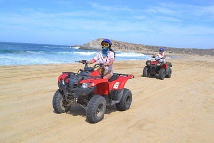 Quads Off Road quad bike Wild Baja West!