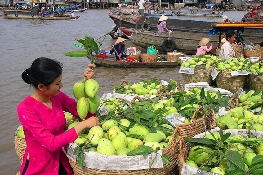 Cai Rang Floating Market and Mekong Delta 2 Days 1 Night Tour