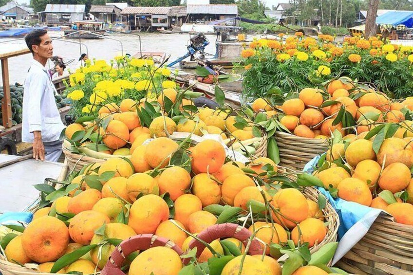 Cai Rang Floating Market Private Day Tour from Ho Chi Minh city