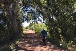 2 Hour Ebike Ride at “The Peavine Trail” (POPULAR )