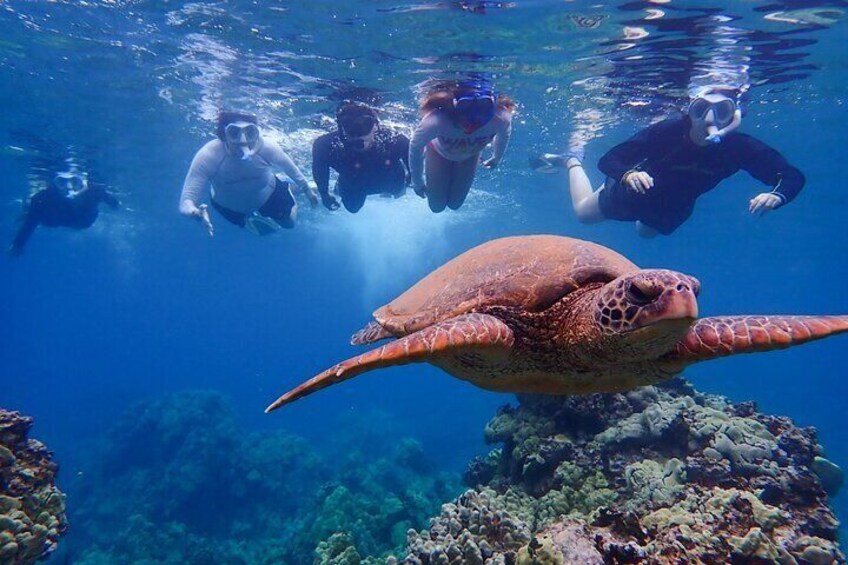  Olowalu Kayak & Snorkel Tour (7am - 10am)