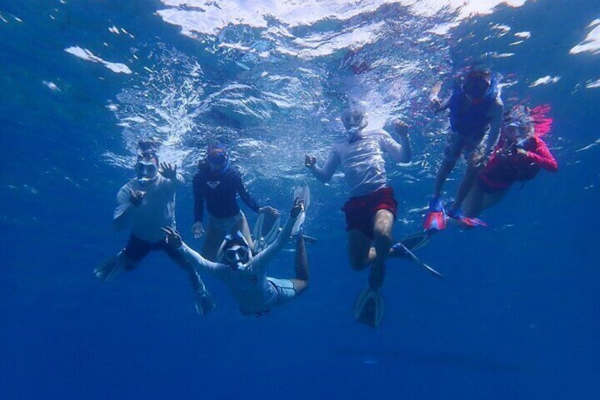 Turtle Town Kayak & Snorkel Private Tour (7am-10am)