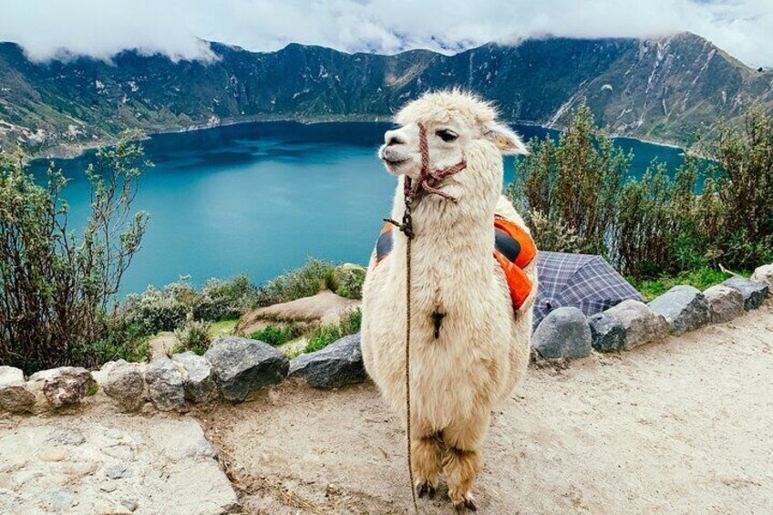 Quilotoa Full Day Tour from Quito with Entrances
