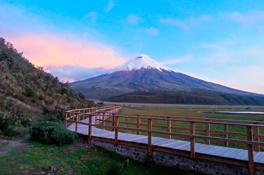 Cotopaxi Full-Day Small Group Tour from Quito