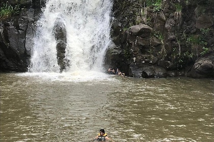Waimea falls & North Shore Day & Swimming With Turtles with Take A Hike Oah...