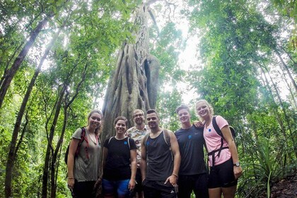 6-Hour Doi Pui Summit Hike in Doi Suthep National Park from Chiang Mai