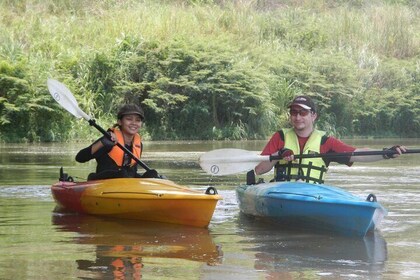 Full-Day Leisure River Kayaking into Mae Taeng Forest Reserve from Chiang M...