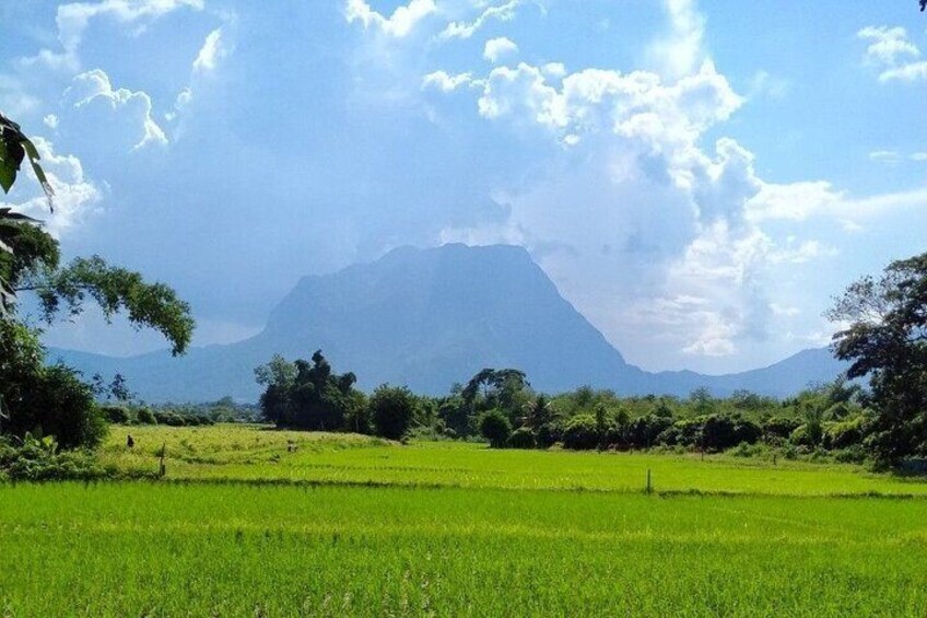 1-Day Bike and River Kayak Adventure from Chiang Mai