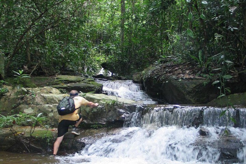 Hike Doi Suthep Mountain