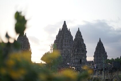 1 Day Yogyakarta tour ( Borobudur temple, Merapi Lava Tour, Prambanan Templ...