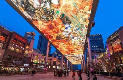 胡同通りの本格的な中国ディナーでの4時間のプライベート照明付き北京ツアー