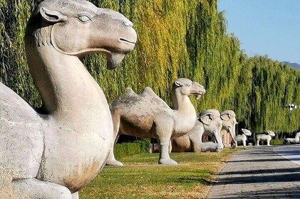 All Inclusive Private Tour durch Peking: Ming-GrÀber, Sacred Way und Sommer...