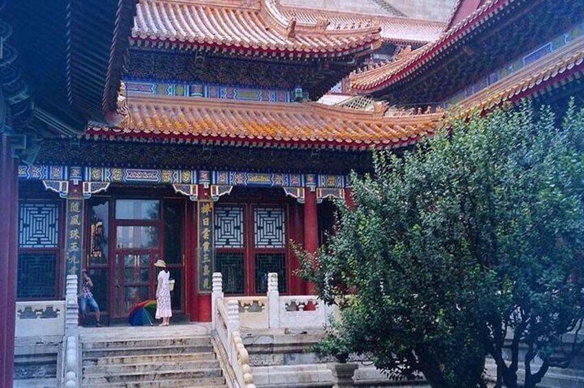 Summer Palace 