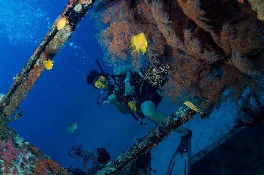 DiveGurus -Scuba Diving in Boracay
