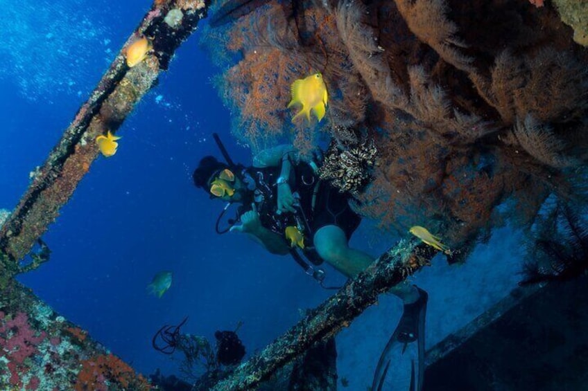 DiveGurus -Scuba Diving in Boracay
