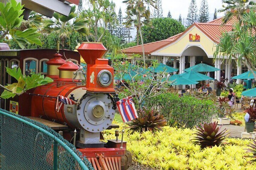 Oahu's Ultimate Tour: Dole, Turtle Snorkel, & Byodo Temple