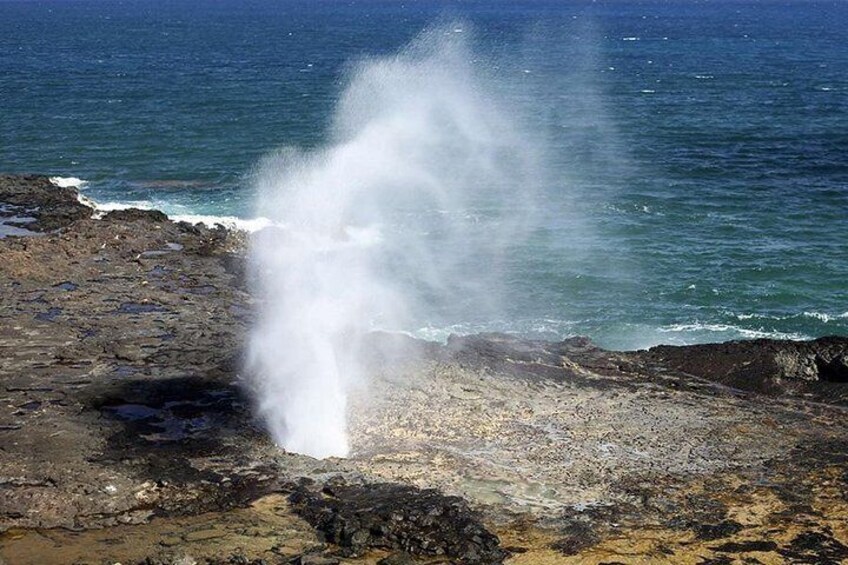 One of the most interesting points along our journey around Oahu is the powerful Halona Blowhole. Come and marvel at this geologic wonder as it shoots water into the heavens.