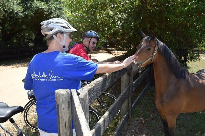 Ride an electric bicycle for a Historical Tour in Aiken