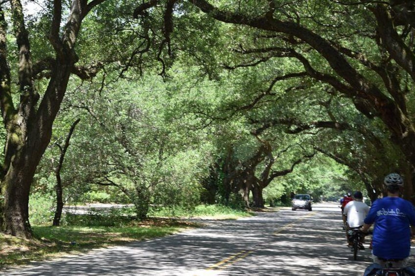 Ride an electric bicycle for a Historical Tour in Aiken