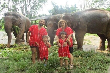 Elephant Care at Bamboo Elephant Family Care from Chiang Mai