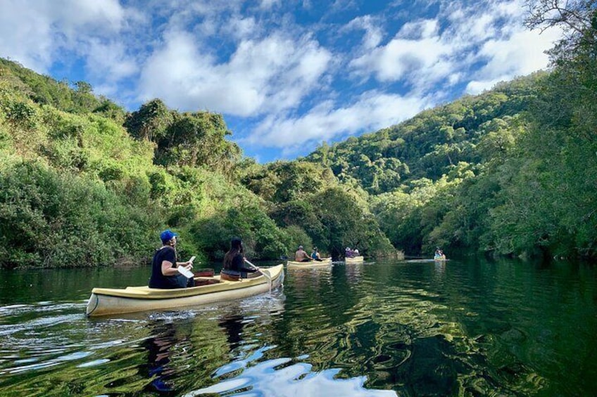 Canoeing in Wilderness National Park