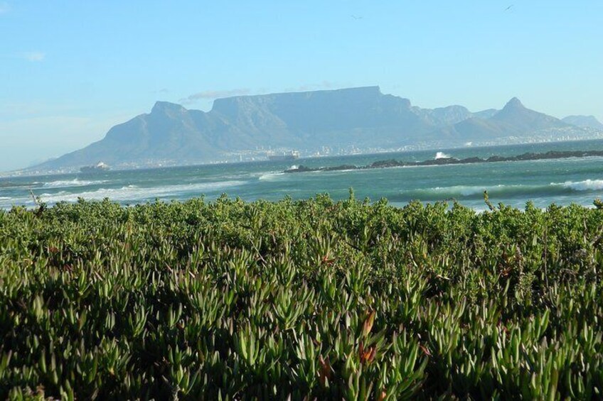 3 Days West Coast & Wine Farm Tour