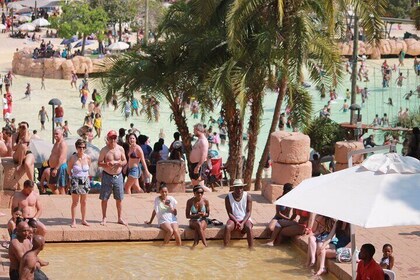 Sun City Day Tour From Johannesburg