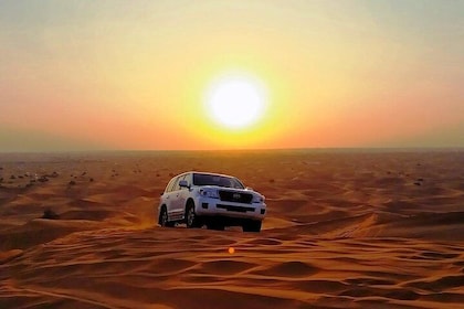 Abu Dhabi Desert Safari 4x4, BBQ Dinner, Camel Ride