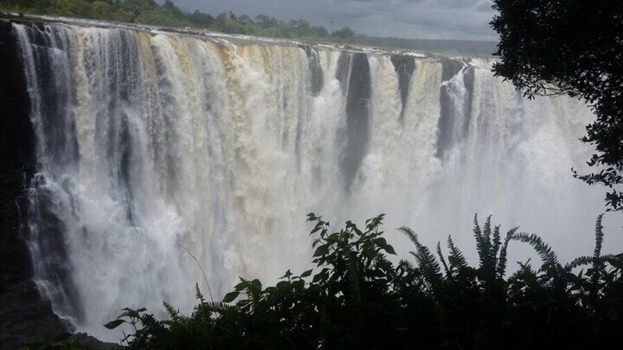 Guided Tour Of The Victoria Falls
