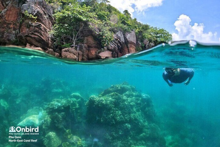Snorkeling in Phu Quoc Island, Vietnam

