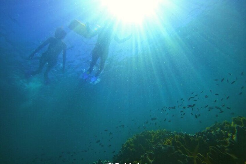 PRIVATE- Short Snorkeling at Coral Mountain & Northeast Coral Reef by speedboat