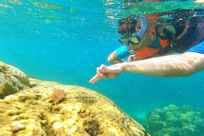 PRIVATE- Short Snorkelling at Coral Mountain & U-Turn reef in the early morning