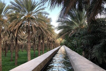 Old Nizwa authentic walks