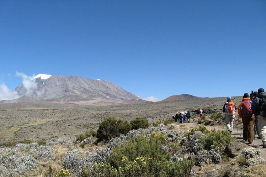 Kilimanjaro National Park Day hike - Shira Peak 3872m asl