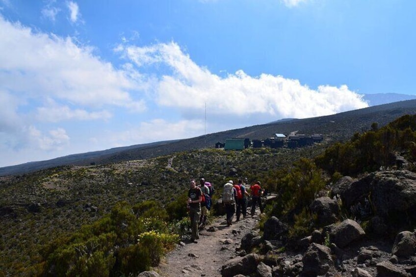 Kilimanjaro National Park Day hike - Shira Peak 3872m asl