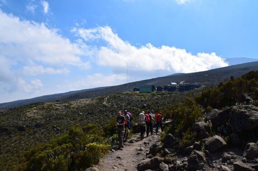 Kilimanjaro National Park Day hike - Shira Peak 3872m asl