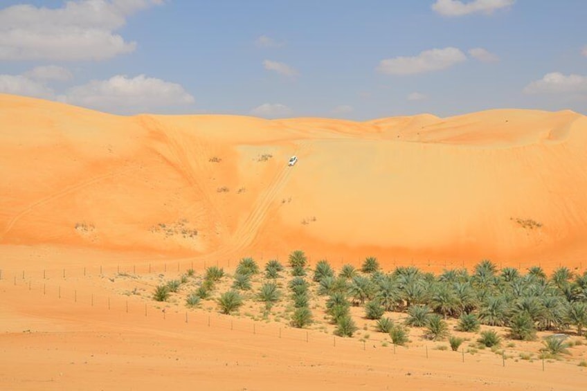 Liwa Full Day Desert Safari from Abu Dhabi