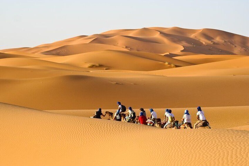 Liwa Desert Safari World's Largest Unbroken Stretch of Sand