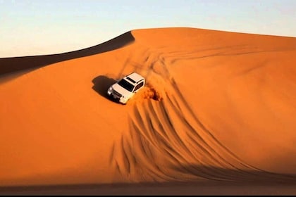 Abu Dhabi Desert Safari 4x4 Dune Bashing & Camel Riding & Sand Boarding wit...