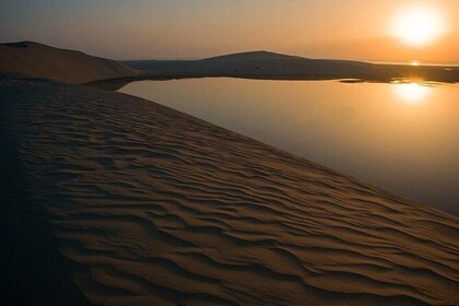 Sunrise Desert Safari with Camel Ride | Dune Bashing | Sand boarding