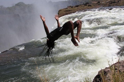 Piscine des Anges Île Livingstone