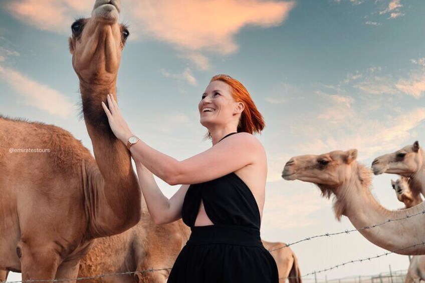 Abu Dhabi Evening Desert Safari BBQ, Camel Ride, Entertainments