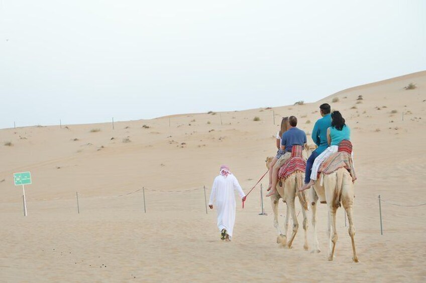 Abu Dhabi Morning Desert Safari