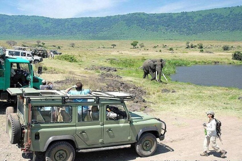 Lake Manyara National Park Full-Day Tour from Arusha