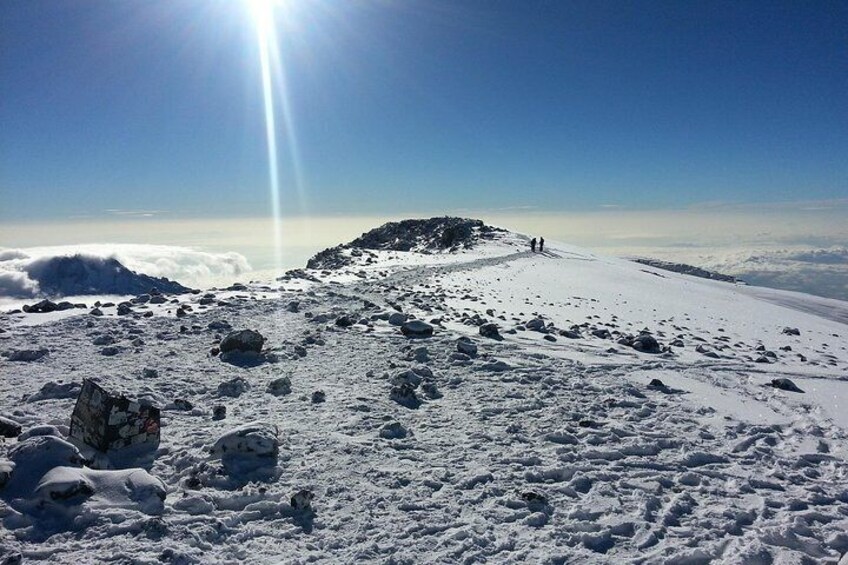 Kilimanjaro National Park Day Trip