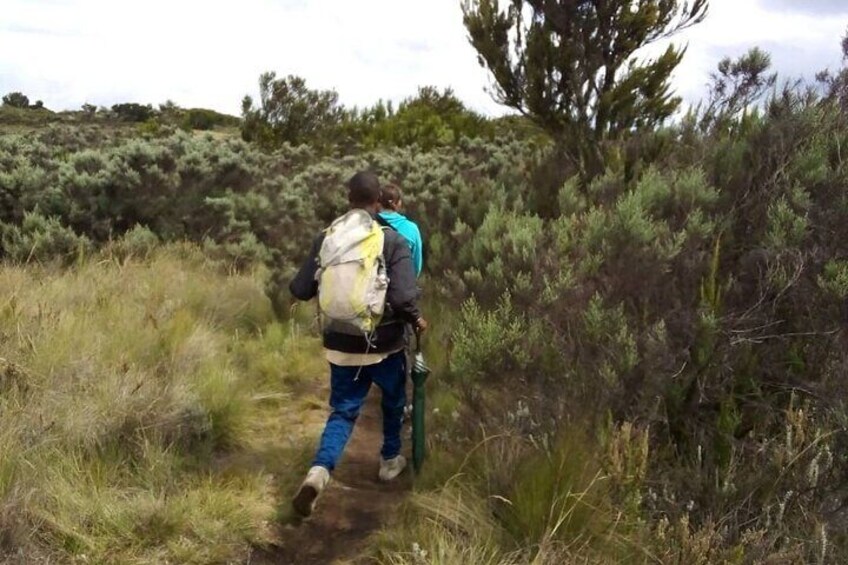 Kilimanjaro National Park Day Trip