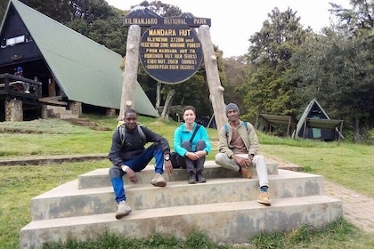 Kilimanjaro National Park Day Trip