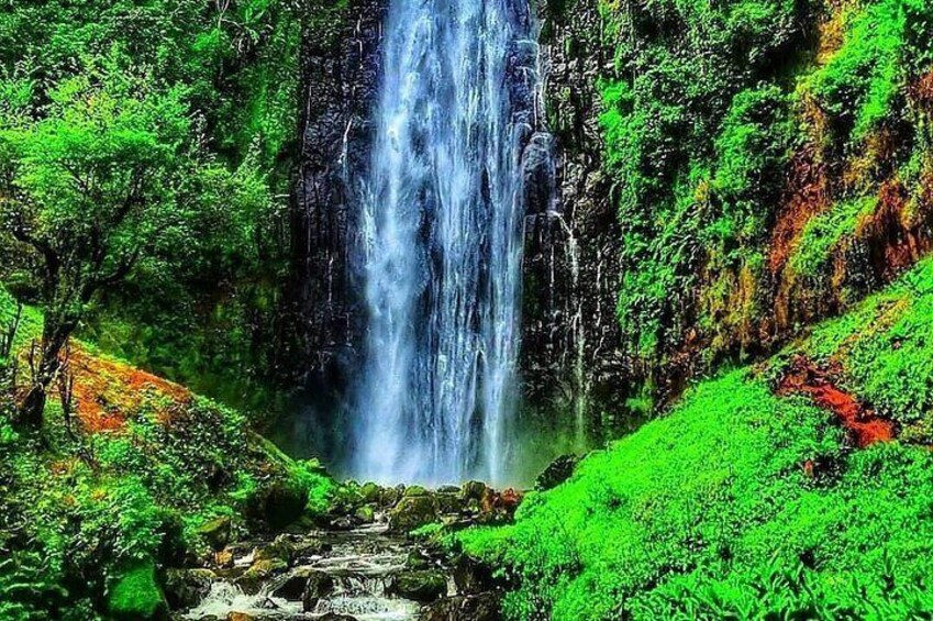 Private Tour to Materuni Waterfalls, coffee tour & Kikuletwa Hot Springs